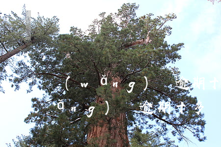 網(wǎng)貸逾期十多萬怎么辦(網(wǎng)貸逾期十多萬怎么辦)