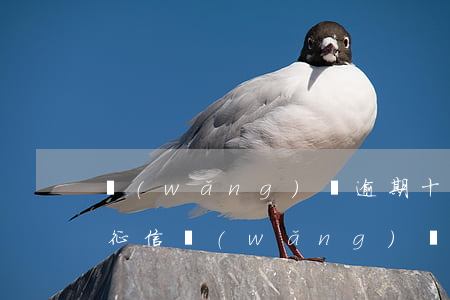 網(wǎng)貸逾期十天上報(bào)征信(網(wǎng)貸逾期十天上報(bào)征信)