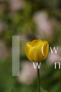 網(wǎng)貸逾期十天違約金多少(網(wǎng)貸逾期十天什么后果)