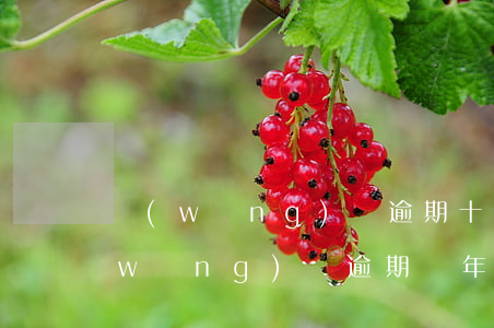 網(wǎng)貸逾期十年了怎么處理(網(wǎng)貸逾期幾年了怎么辦)