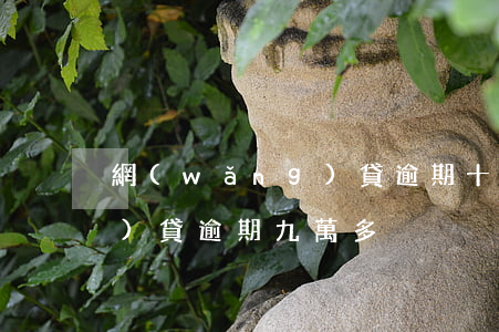 網(wǎng)貸逾期十幾萬（網(wǎng)貸逾期九萬多）