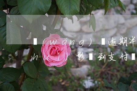 網(wǎng)貸逾期半個(gè)月會(huì)影響到支付寶嗎(支付寶顯示網(wǎng)貸逾期解除網(wǎng)貸綁定支付寶還會(huì)逾期嗎?)