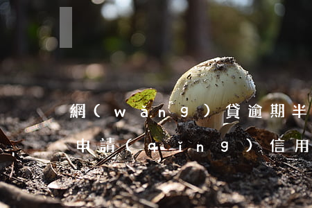 網(wǎng)貸逾期半個(gè)月還能申請(qǐng)信用卡嗎-網(wǎng)貸逾期半個(gè)月還能申請(qǐng)信用卡嗎知乎