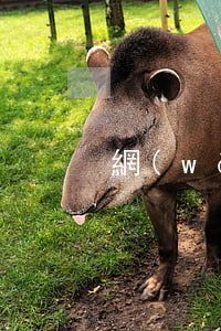 網(wǎng)貸逾期半個月就扣錢嗎