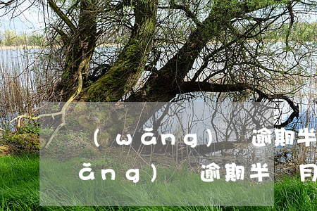 網(wǎng)貸逾期半個月會怎樣(網(wǎng)貸逾期半個月會怎么樣)