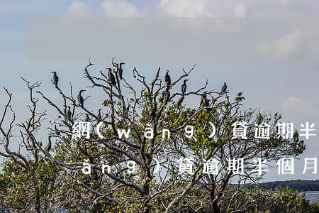 網(wǎng)貸逾期半個月算長嗎(網(wǎng)貸逾期半個月會怎么樣)