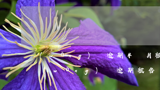 網(wǎng)貸逾期半個月被起訴詐騙-網(wǎng)貸逾期被告詐騙