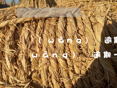 網(wǎng)貸逾期半天有沒有影響(網(wǎng)貸逾期一個星期左右有沒有影響)