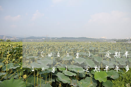 網(wǎng)貸逾期半年2020(網(wǎng)貸逾期半年多久恢復(fù)征信)