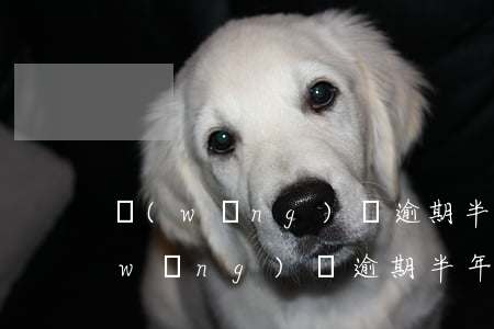 網(wǎng)貸逾期半年以上怎么辦(網(wǎng)貸逾期半年會(huì)怎么樣)