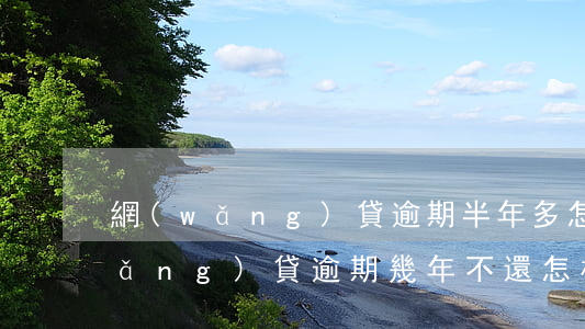 網(wǎng)貸逾期半年多怎么還(網(wǎng)貸逾期幾年不還怎樣)