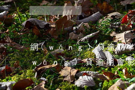 網(wǎng)貸逾期半年影響買房嗎(網(wǎng)貸逾期會影響買房嗎?)