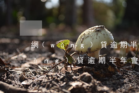 網(wǎng)貸逾期半年會會如何(網(wǎng)貸逾期半年會怎么樣)