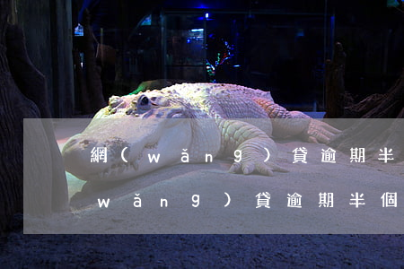 網(wǎng)貸逾期半年會被起訴嗎(網(wǎng)貸逾期半個月會被起訴嗎)