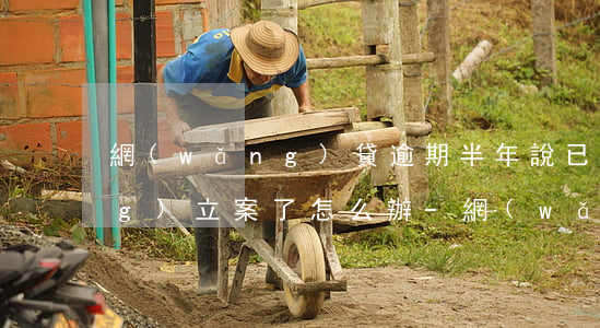網(wǎng)貸逾期半年說已經(jīng)立案了怎么辦-網(wǎng)貸逾期半年說已經(jīng)立案了怎么辦呢