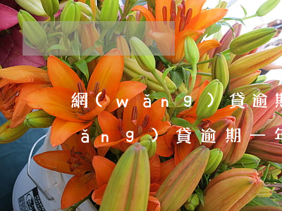 網(wǎng)貸逾期半年貸款軟件(網(wǎng)貸逾期一年半了)