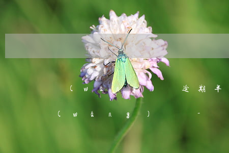 網(wǎng)貸逾期半年還完后還可以網(wǎng)貸嗎-網(wǎng)貸逾期半年還完了有影響嗎?