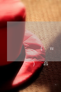 網(wǎng)貸逾期半年還能買(mǎi)高鐵(網(wǎng)貸逾期上征信能坐高鐵嗎)