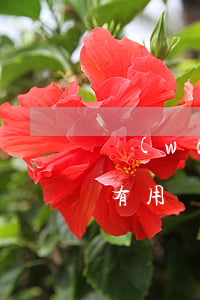 網(wǎng)貸逾期協(xié)商之后有用嗎
