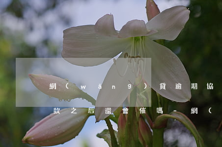 網(wǎng)貸逾期協(xié)商好還款之后還會催嗎-網(wǎng)貸逾期協(xié)商還款成功率高嗎