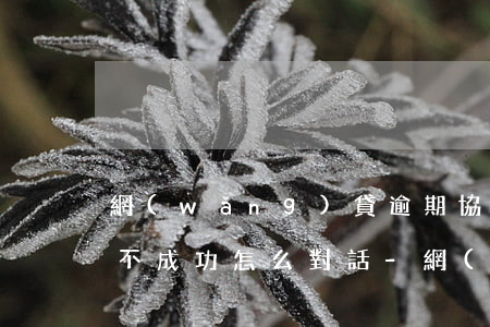網(wǎng)貸逾期協(xié)商如果不成功怎么對話-網(wǎng)貸逾期協(xié)商如果不成功怎么對話呢
