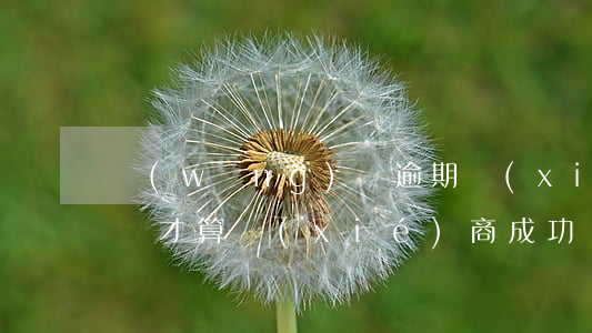 網(wǎng)貸逾期協(xié)商怎么樣才算協(xié)商成功-網(wǎng)貸逾期協(xié)商怎么樣才算協(xié)商成功了