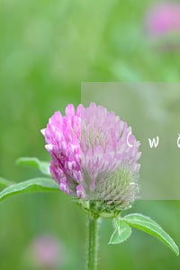 網(wǎng)貸逾期協(xié)商怎么說-網(wǎng)貸逾期協(xié)商怎么說呢