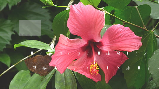 網(wǎng)貸逾期協(xié)商有法律依據(jù)嗎上海 網(wǎng)貸逾期協(xié)商是真的嗎