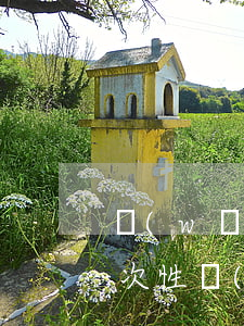 網(wǎng)貸逾期協(xié)商要一次性(網(wǎng)貸逾期可以協(xié)商嗎)