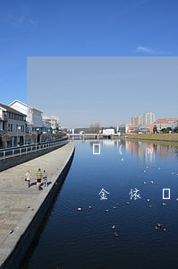 網(wǎng)貸逾期協(xié)商還本金依據(jù)(網(wǎng)貸逾期前協(xié)商還是逾期后協(xié)商)