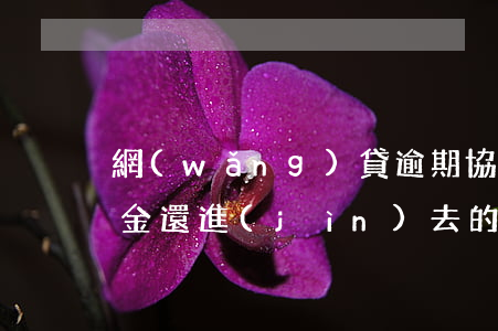 網(wǎng)貸逾期協(xié)商還本金還進(jìn)去的利息算本金嗎-網(wǎng)貸逾期了協(xié)商還本金怎么還