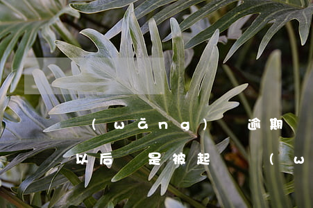 網(wǎng)貸逾期協(xié)商還款以后還是被起訴(網(wǎng)貸協(xié)商還款算逾期嗎)