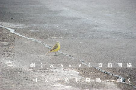 網(wǎng)貸逾期協(xié)商還款可以減免利息嗎-網(wǎng)貸逾期協(xié)商還本金可以嗎