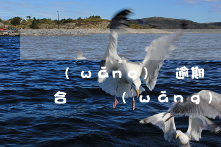 網(wǎng)貸逾期協(xié)商還款合適嗎(網(wǎng)貸逾期協(xié)商還本金注意)