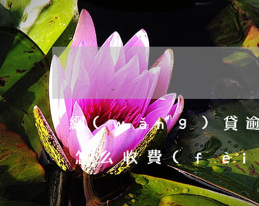 網(wǎng)貸逾期協(xié)商還款怎么收費(fèi)(網(wǎng)貸逾期協(xié)商處理一般怎么處理)