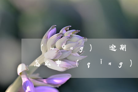 網(wǎng)貸逾期協(xié)商還款怎么申請(qǐng) 網(wǎng)貸逾期怎么協(xié)商處理