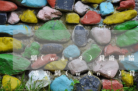 網(wǎng)貸逾期協(xié)商還款成功(網(wǎng)貸逾期協(xié)商處理辦法)