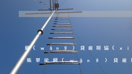 網(wǎng)貸逾期協(xié)商還款賬單能 網(wǎng)貸逾期如何協(xié)商還款