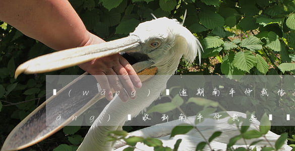 網(wǎng)貸逾期南平仲裁信息(網(wǎng)貸收到南平仲裁委員會短信)