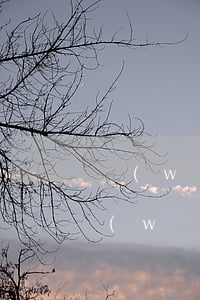 網(wǎng)貸逾期印象辦理信用卡嗎(網(wǎng)貸逾期辦信用卡有影響嗎)
