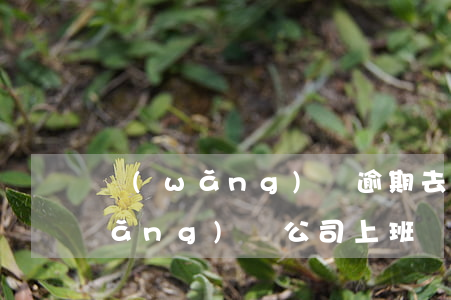 網(wǎng)貸逾期去公司當保安(網(wǎng)貸公司上班離職被刑拘)