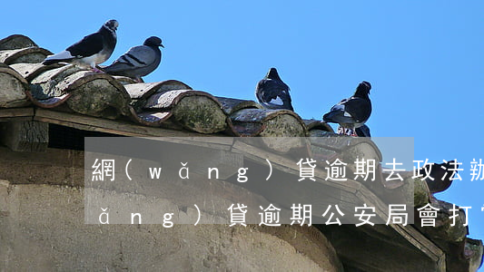 網(wǎng)貸逾期去政法辦干嘛(網(wǎng)貸逾期公安局會打電話嗎)
