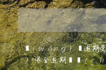 網(wǎng)貸逾期受到財產(chǎn)保全(逾期資產(chǎn)保全)