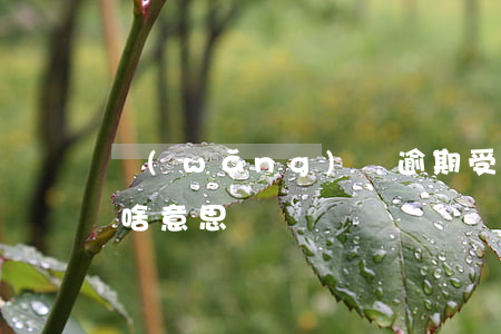 網(wǎng)貸逾期受案回執(zhí)啥意思