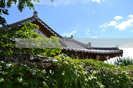 網(wǎng)貸逾期只用還本金嗎(網(wǎng)貸逾期但是還清了)