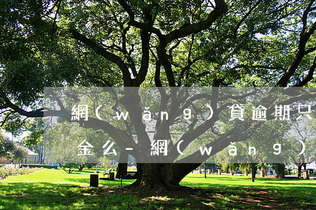 網(wǎng)貸逾期只還本金是剩下的本金么-網(wǎng)貸逾期只還本金是剩下的本金么