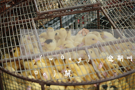 網(wǎng)貸逾期叫去司法局調(diào)解
