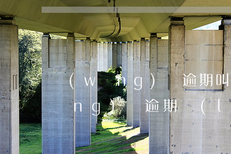 網(wǎng)貸逾期叫我去綜治辦(網(wǎng)貸逾期聯(lián)系社區(qū))