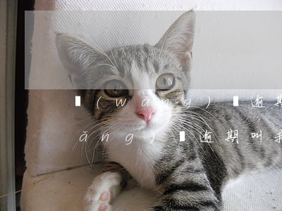 網(wǎng)貸逾期叫我回居委會(網(wǎng)貸逾期叫我回居委會)