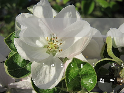 網(wǎng)貸逾期叫我收律師函(網(wǎng)貸逾期叫我收律師函)